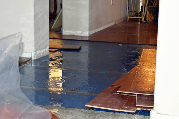 Professional Burst Pipe Cleanup technician working in Ardenvoir, WA